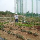 종신농장 이미지