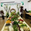 라피오레아카데미학원