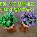 신내역행운부동산공인중개사사무소 네이버블로그