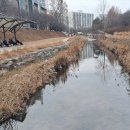 상계역주변-1 이미지