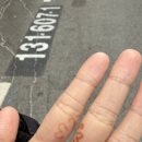 아이조아 캣파크 서울점 이미지