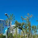 현강한의원 | 돼지 일기