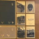 홍수계찜닭 잠실타워730점 이미지