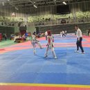 문수태권도 이미지