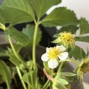 대승목장 이미지