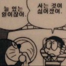 이제다시돌아갈시간이야