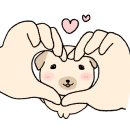 힘드림마취통증의학과의원 네이버블로그