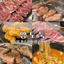 양도둑 | 동탄 호수공원 양고기 입문자도 흡입하는 양고기 맛집, 양도둑 강추후기