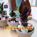 식물그림책작은도서관 이미지