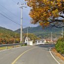 하동군진교면갑정보건진료소 이미지