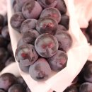 이수민농장 이미지