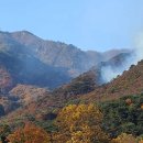 용문산 이미지