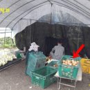 조일세차장 이미지