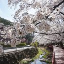 화이트스톤 골프연습장 이미지