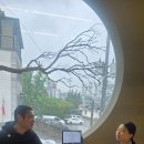 광주식당 | 경기광주 경안동:) 경양식당 하잇 돈까스 파스타 방문 후기
