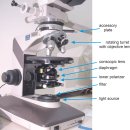 ﻿광물학 5: 광학 광물학 5.4: 석유 현미경 5.4.1: 현미경의 구성요소 이미지