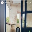 금손민박 이미지