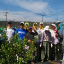 프로농장 이미지