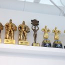 해 스테이 이미지