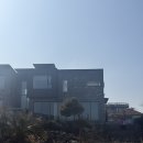 명당옥수 | 제주 조천 카페 점점 - 초당옥수수라떼 + 아이스크림 솔직후기