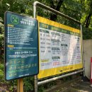 별따기캠핑장 | 서울대공원 캠핑장 당일 텐트 105 악명높은 주차장 후기