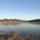 해피햄찌