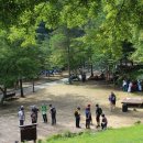 식장산 숲길 이미지