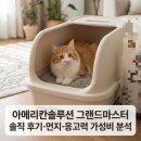모래실 | [고양이 모래 추천]아메리칸솔루션 그랜드마스터12.6kg 솔직 후기·먼지·응고력 가성비 분석