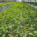 무열농장 이미지