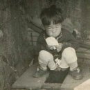 화장실 문화 이미지