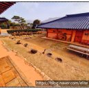 국화마을펜션 이미지