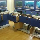 태백게임장 이미지