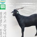 친환경 염소농장 이미지