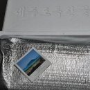 제주은갈치 | 택배로 제주 은갈치를 먹다니, 제주라니까 내돈내산 후기