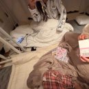 은실내 | [ 일본 워홀 3주차 ] 은실언니랑 민영언니랑 재경언니랑 놀았다...