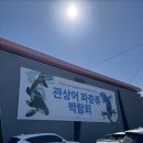 몰포트코리아 | [박람회 탐방] 제 3회 2026 관상어 파충류 박람회 세텍 관파박 후기