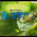 방송 캠페인 통한 사익추구 의혹있던 SBS와 태영건설 이미지