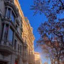 올레민박 이미지