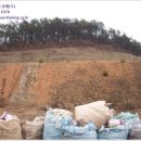 김포대명초등학교 이미지