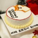 디자인다람 이미지