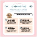 퍼피클래식 이미지