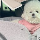 새터길 네이버블로그