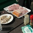 애견동반 밀양테마수영장 이미지