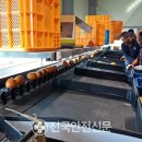 남울진농협 온정지점 이미지