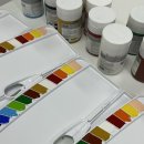 수정빌리지 이미지