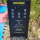 명봉닭갈비막국수 이미지