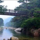 괴산농협주유소 이미지