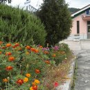 임기역 아래 이미지