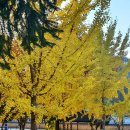 지천소공원 이미지