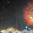 상록수식당 이미지